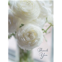 Pure White Peonies
